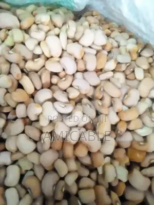 Nigerian Original Honey (Oloyin)Beans