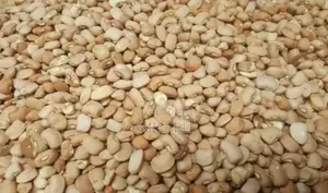 Nigerian Original Honey (Oloyin)Beans