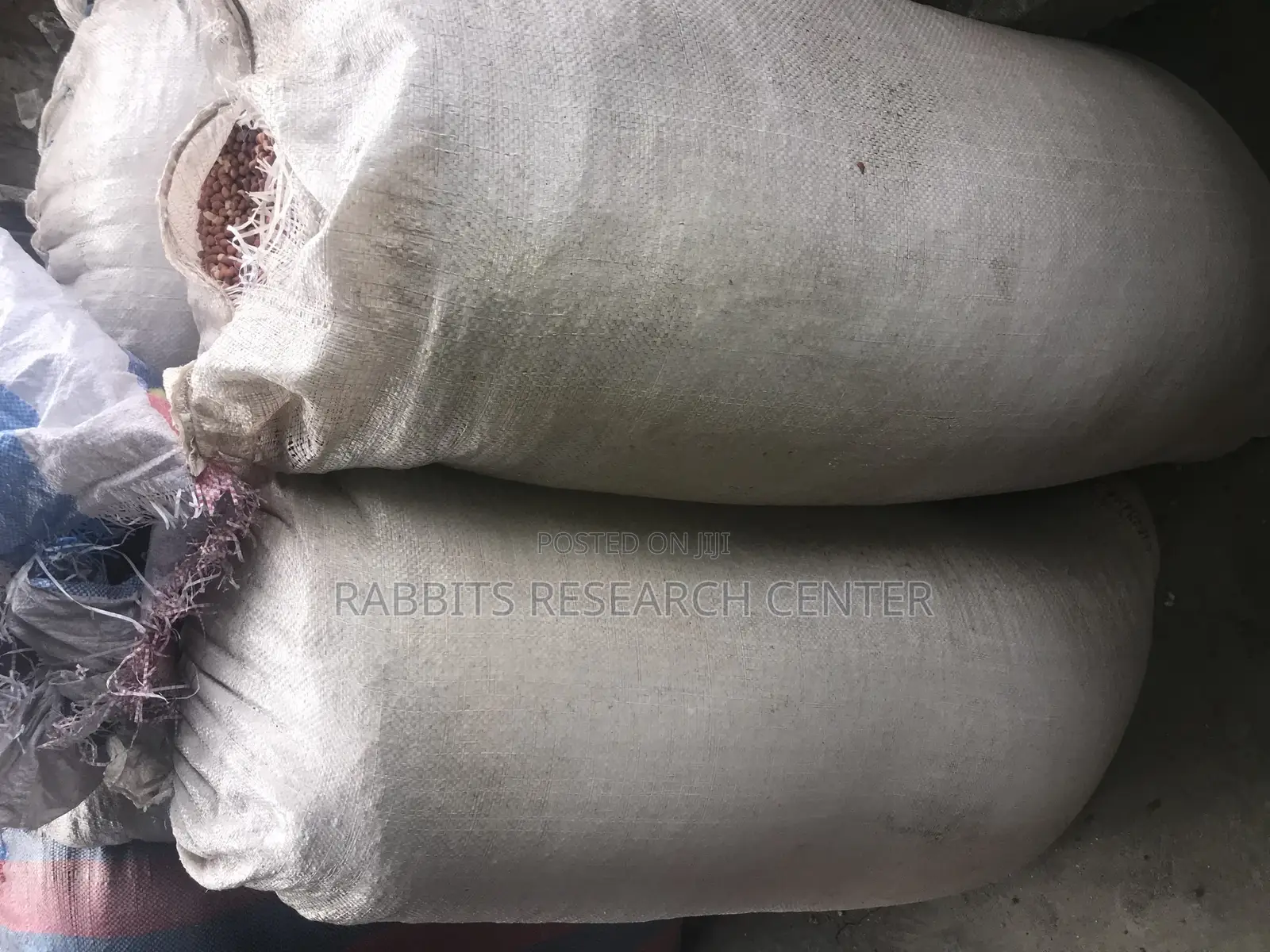 Fresh And Roasted Groundnut (100kg)