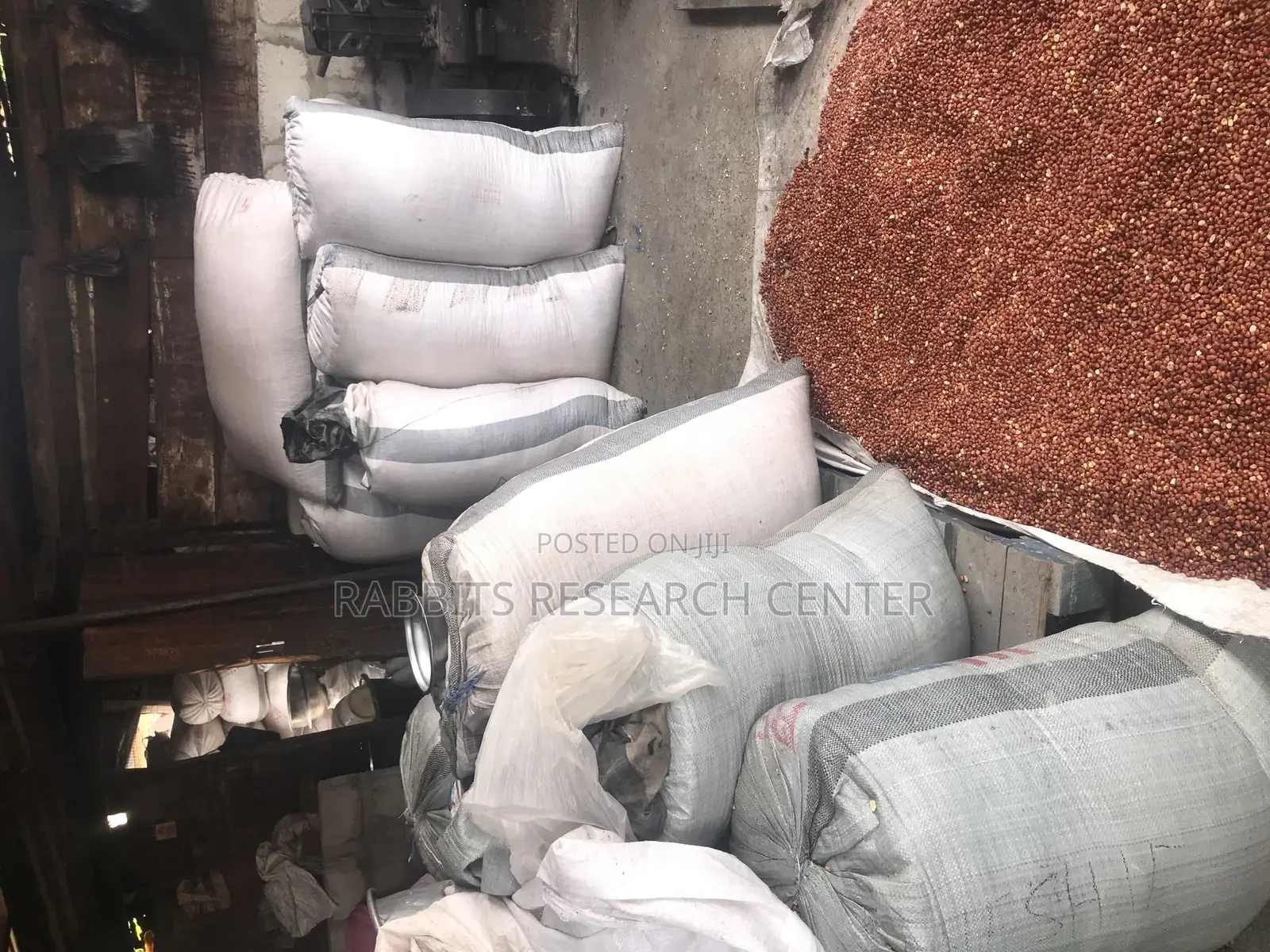 Fresh And Roasted Groundnut (100kg)