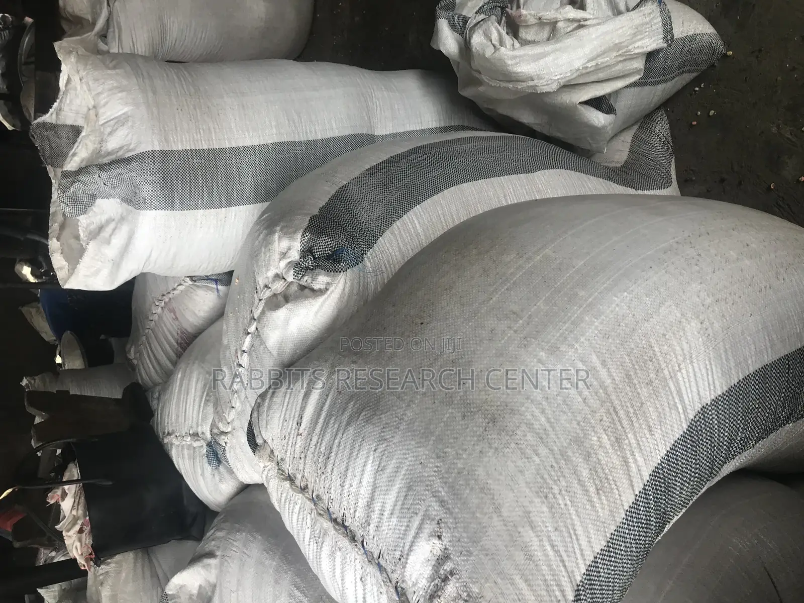 Fresh And Roasted Groundnut (100kg)