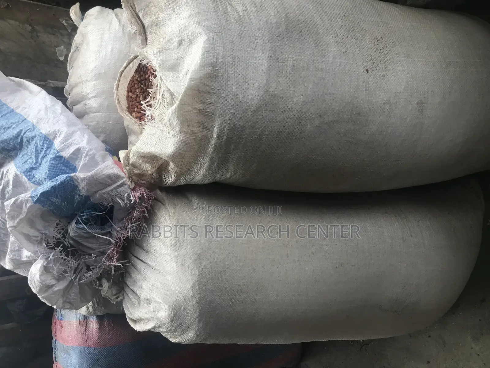 Fresh And Roasted Groundnut (100kg)