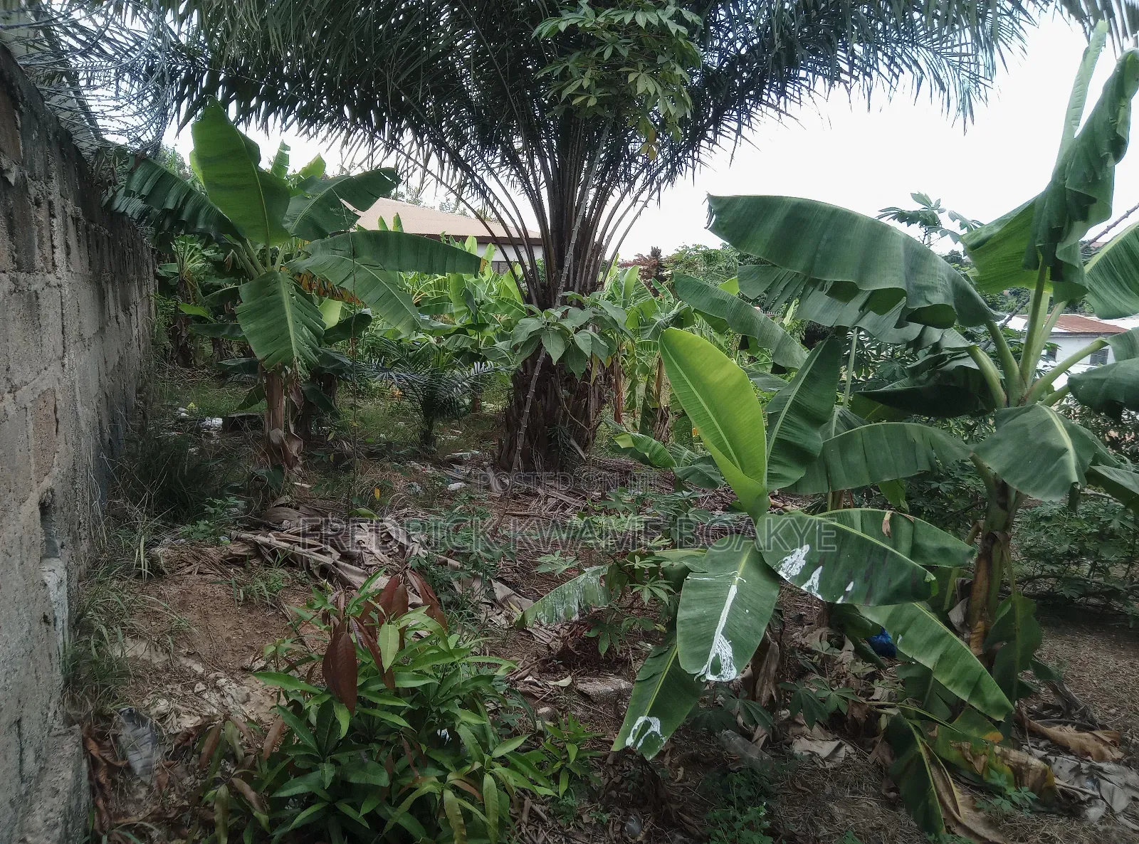 Plot of Land for Sale at Abuakwa Akropong