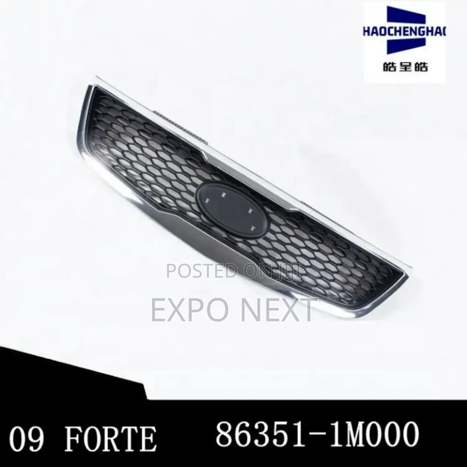 Kia Forte 2010-2013 Front Grille