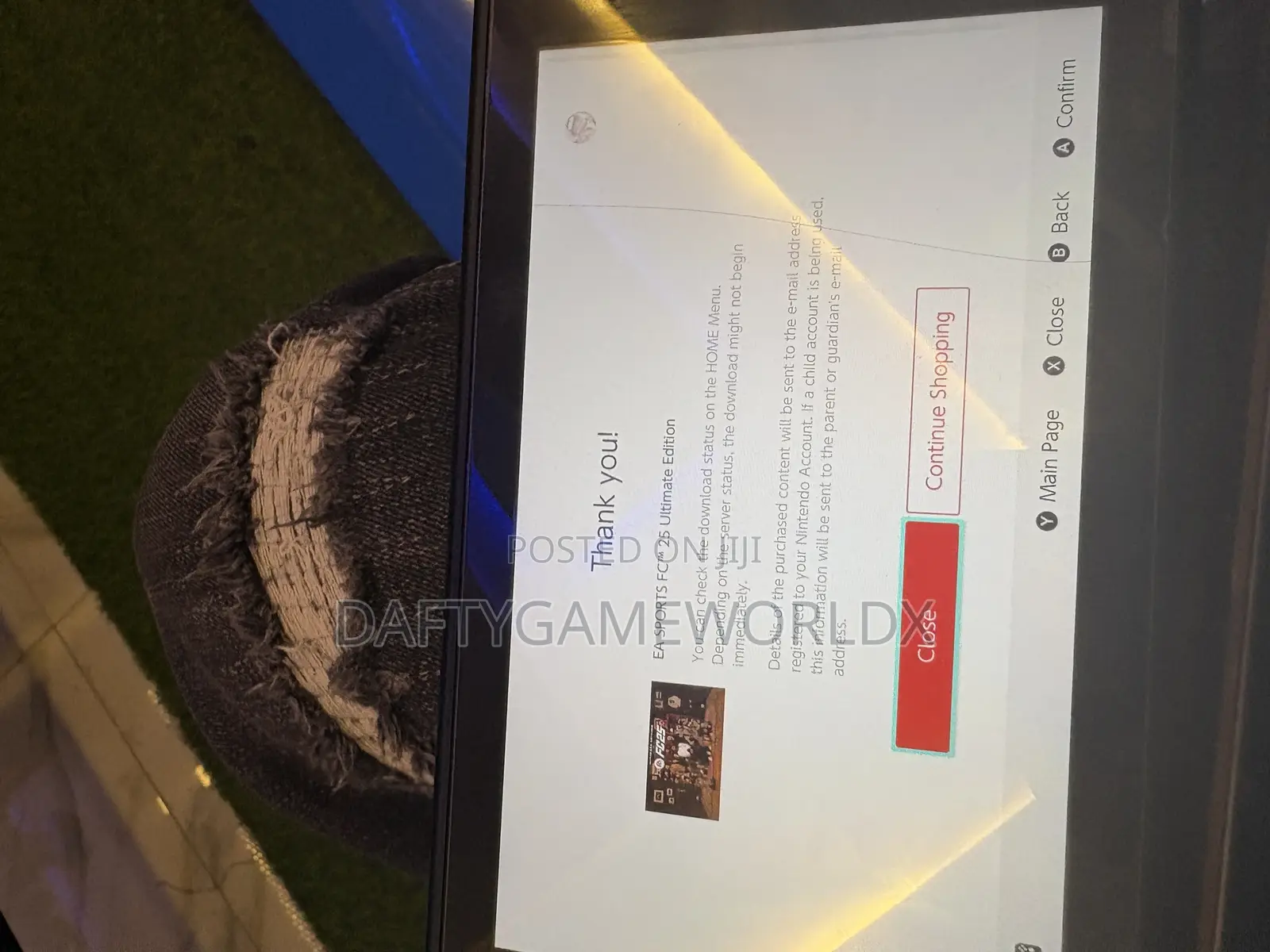 Nintendo Digital Games Installation