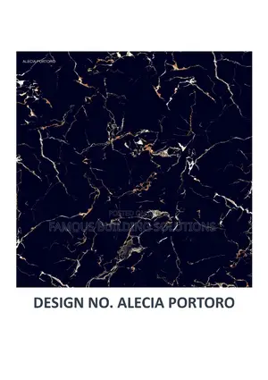 Polished Blacko 60/60 Floor Tiles
