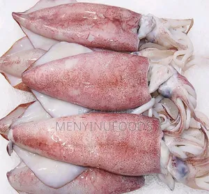 Fresh Squid Octopus for Sale – Wholesale Retail | Ghana
