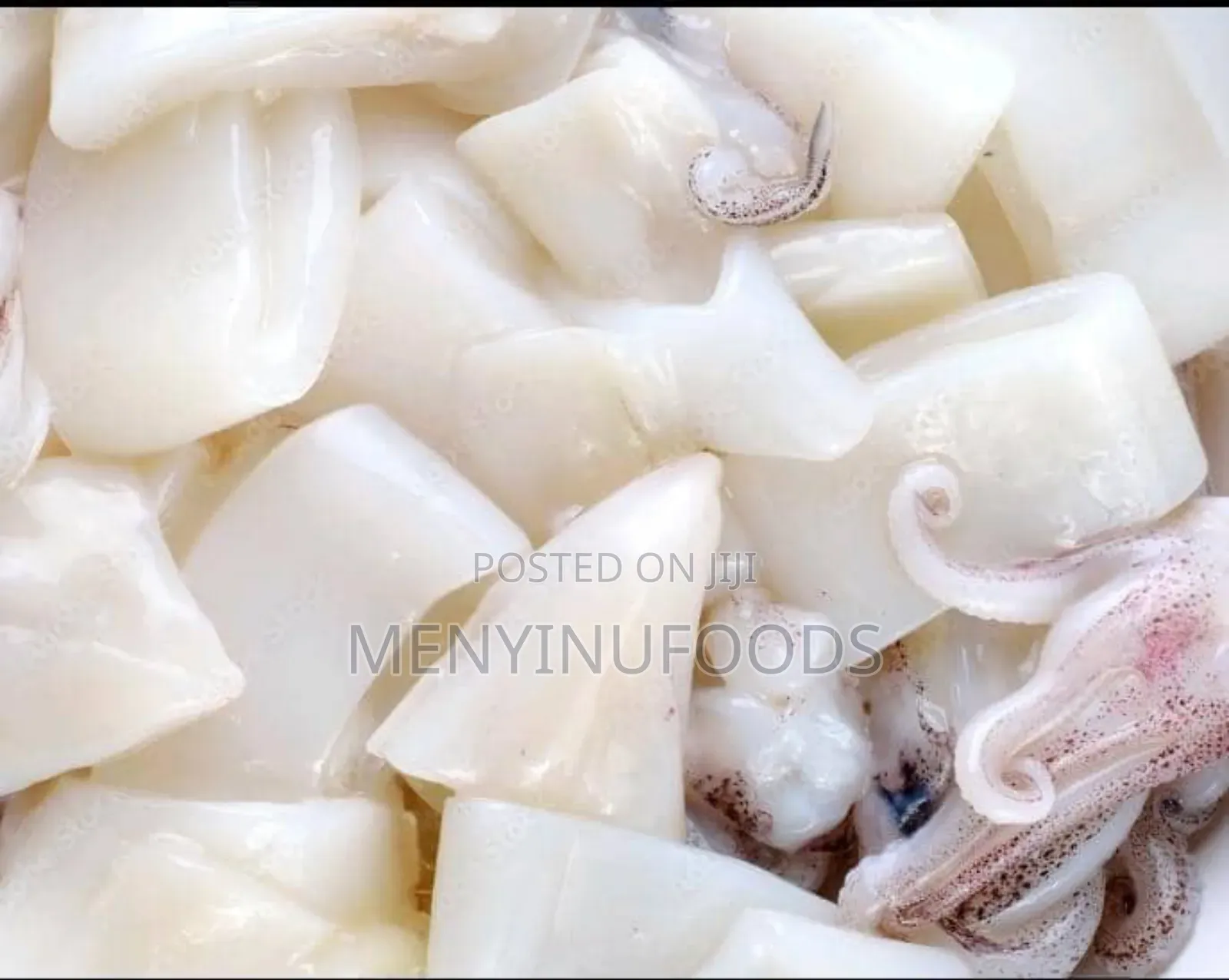 Fresh Squid Octopus for Sale – Wholesale Retail | Ghana