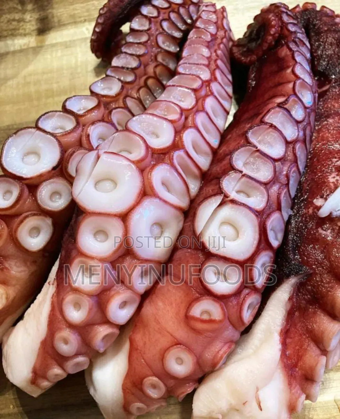 Fresh Squid Octopus for Sale – Wholesale Retail | Ghana