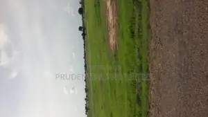 Farm Land for Sale at Bawjiase