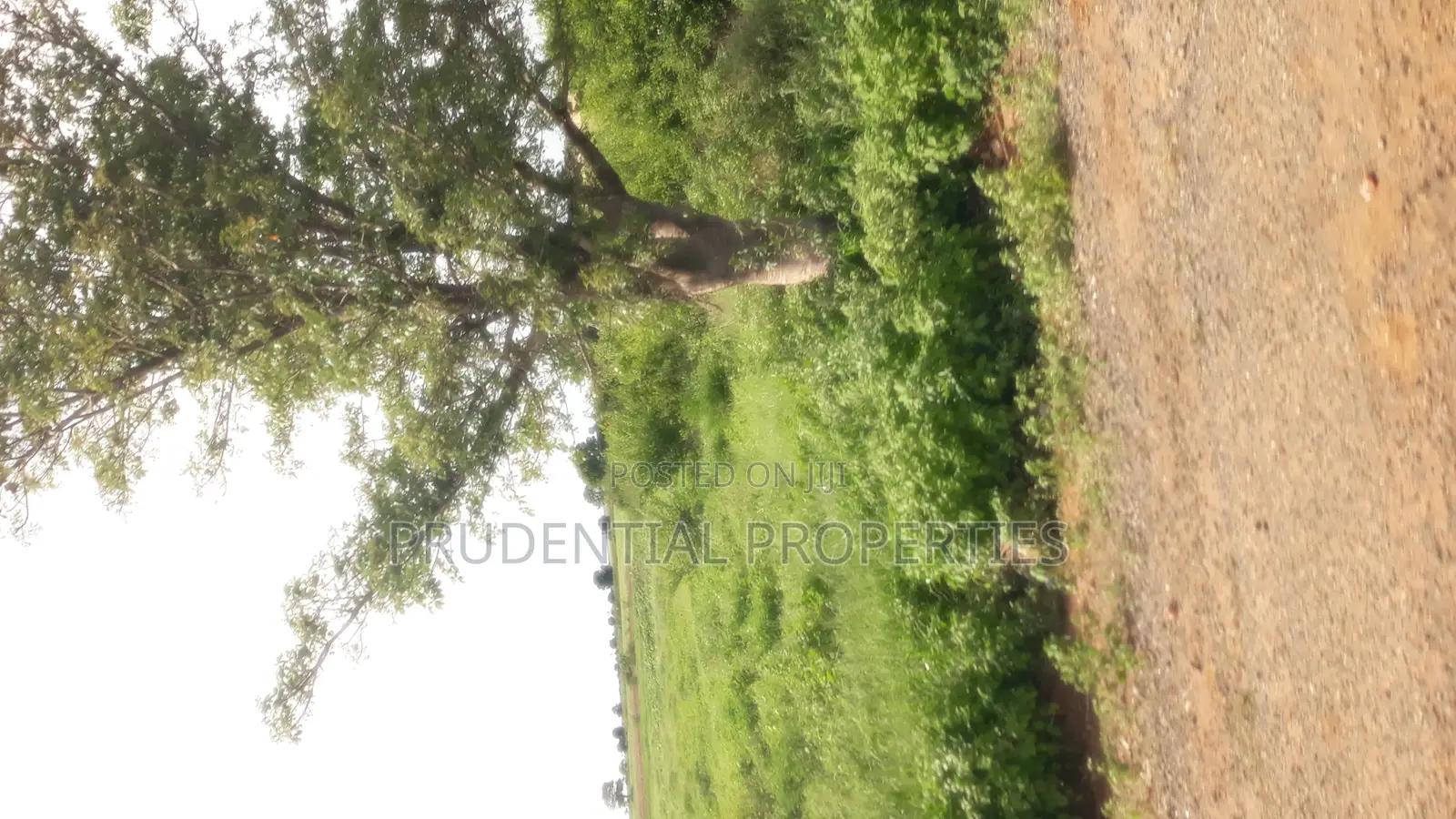 Farm Land for Sale at Bawjiase