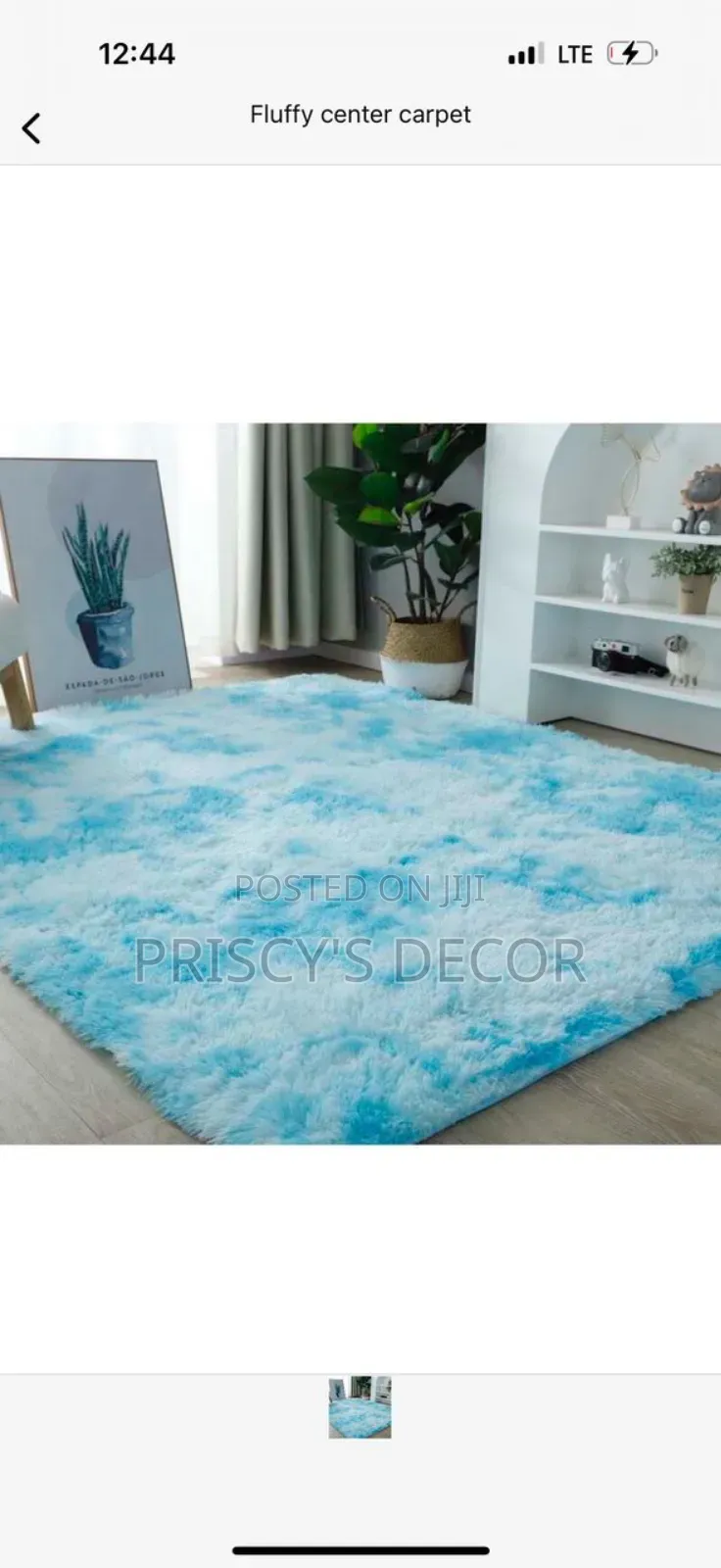 Beautiful Sky Blue Fluffy Avaliable