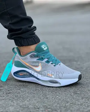 Nike Zoom Max