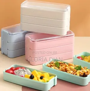Small Portable Kids Lunch Box