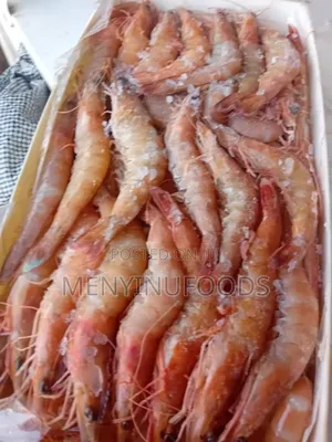 Fresh Shrimp – Direct From the Ocean(Wholesale Retail)