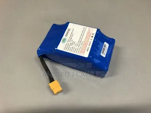 Hoverboard Battery