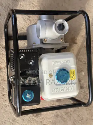 Person Wp30x Water Pump.