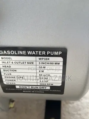 Person Wp30x Water Pump.
