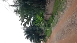 2 Plots of Land for Sale at Odorkor