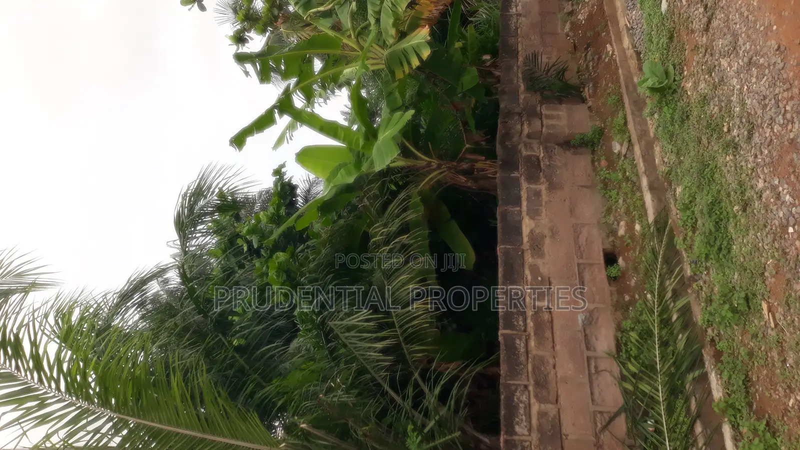 2 Plots of Land for Sale at Odorkor