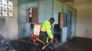 Kumasi Cleantex Pest Services