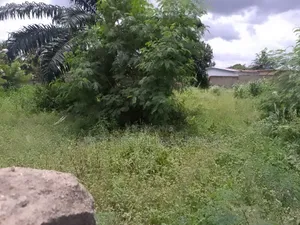 Land for Sale, Kasoa Opeikuma Junction