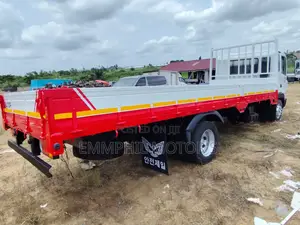 Hyundai Gold, Mega Truck. New Arrivals.