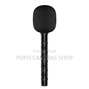 Wireless Handheld Microphone Stick