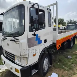 Hyundai Gold 5ton 2010 White