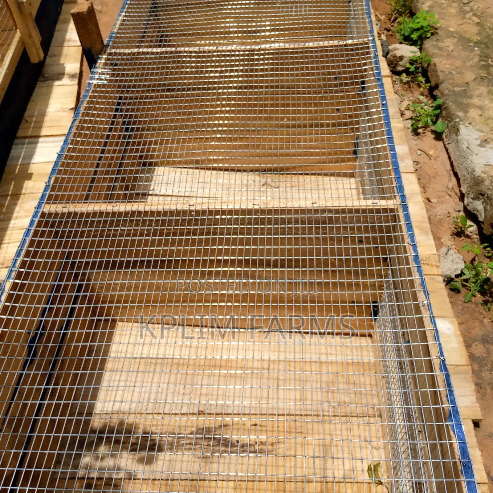 Solid Rabbit Cages For Sale