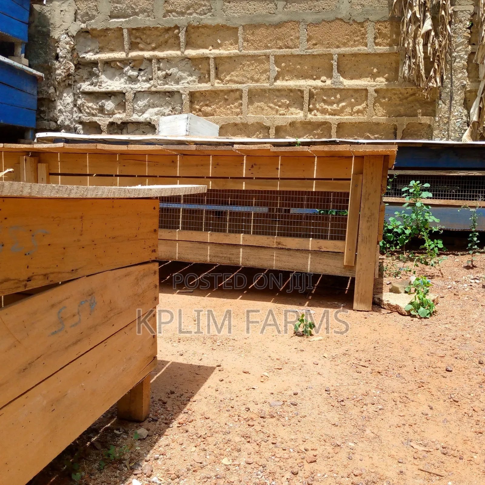Solid Rabbit Cages For Sale