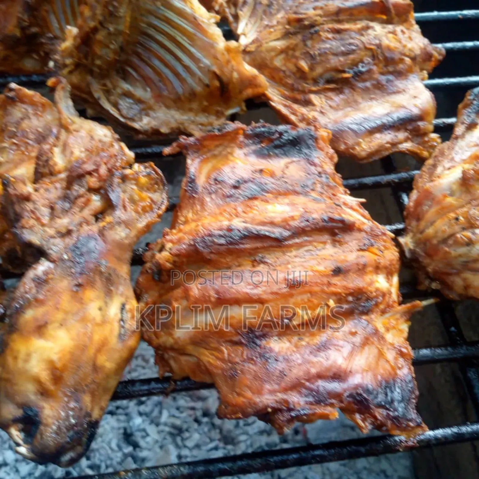 Rabbit Meat