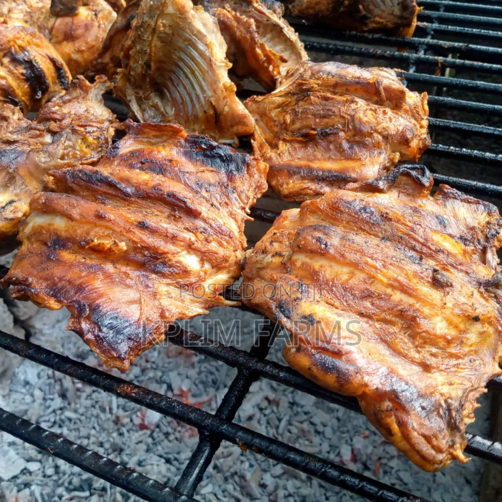 Rabbit Meat