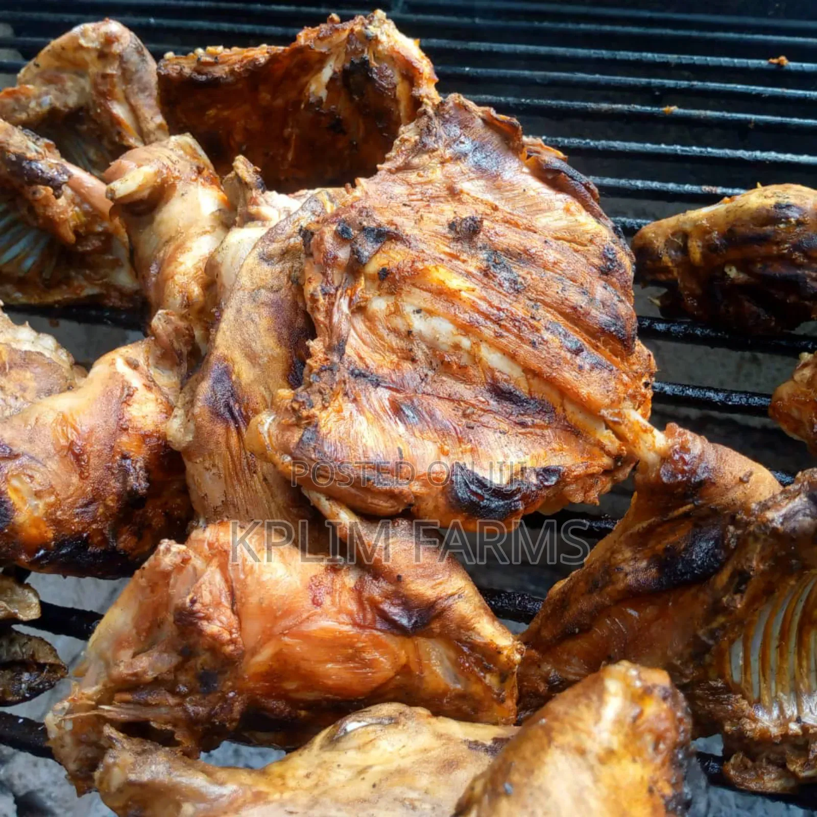 Rabbit Meat