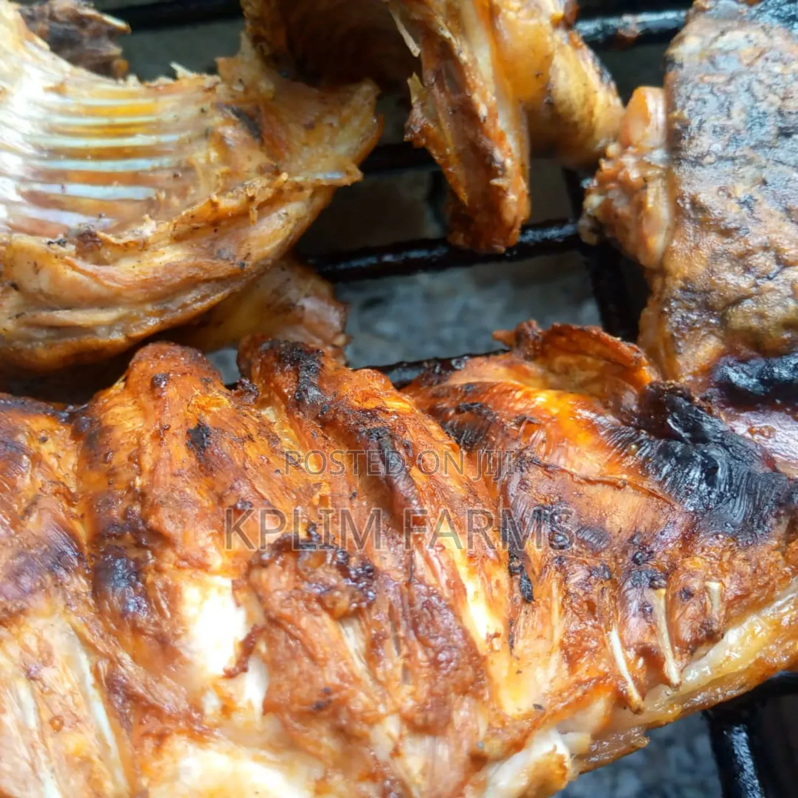 Rabbit Meat