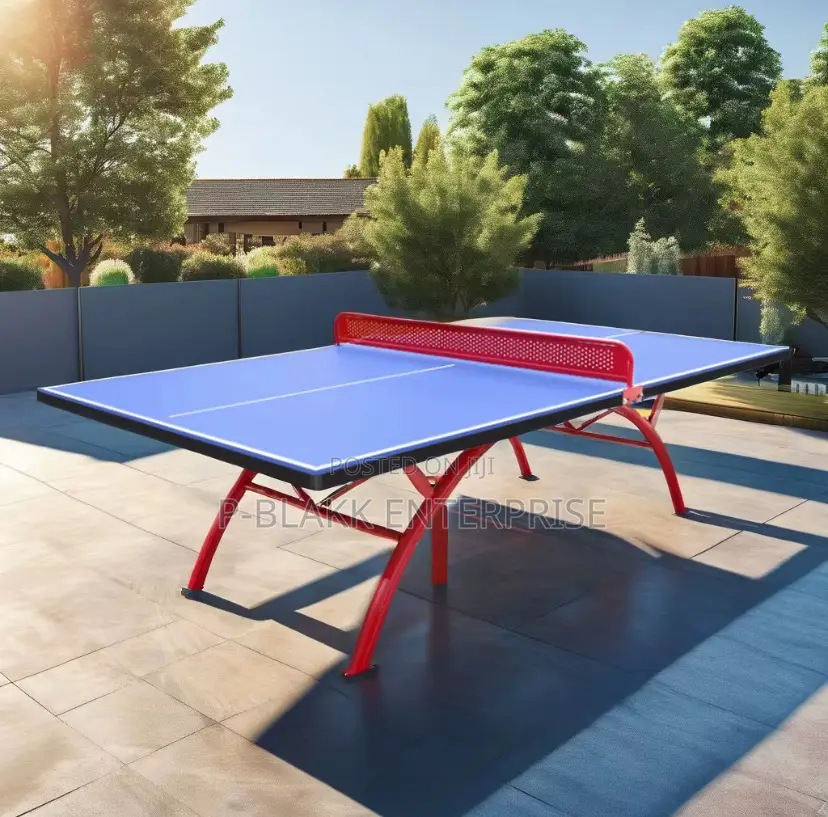 Table Tennis Table With Bat and Balls