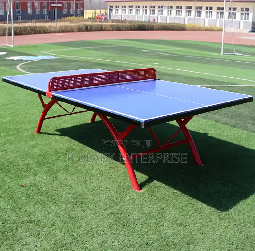 Table Tennis Table With Bat and Balls