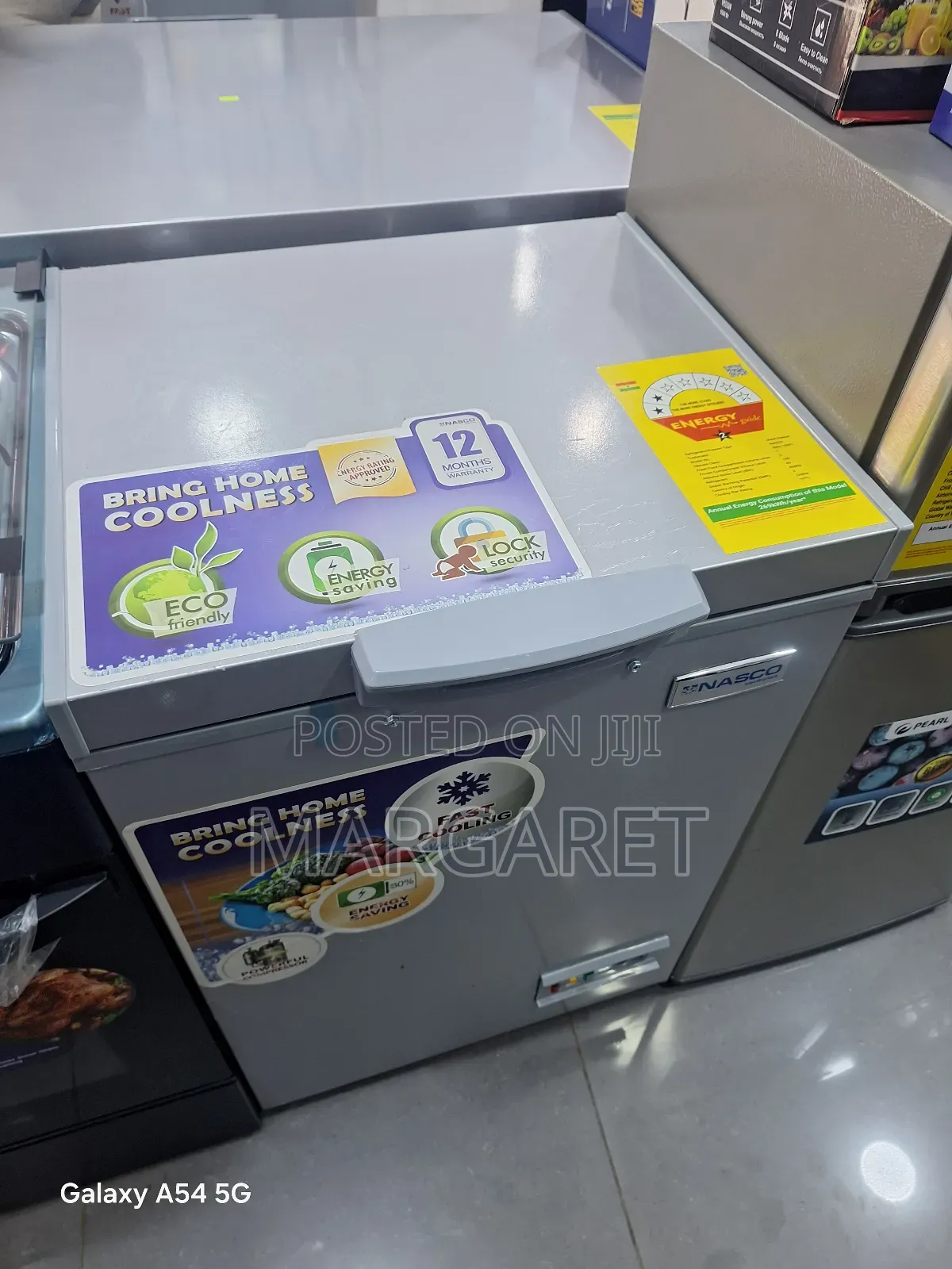 Nasco 100 Litters Freezer With Class