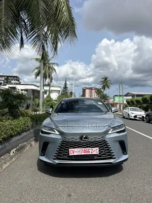 Photo - Lexus RX 350 2024 Silver