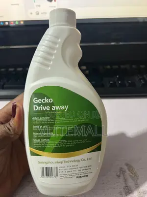 Wall Gecko Drive Away