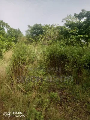 10,000 Acres Farmland for Sale