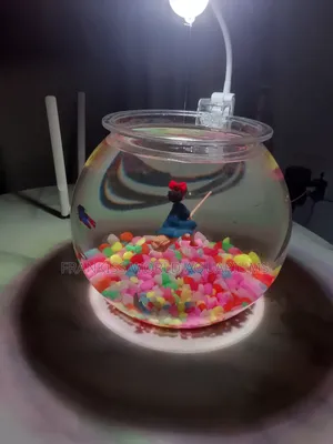 Mini Aquarium Bowl