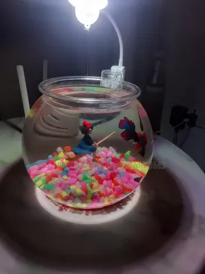 Mini Aquarium Bowl