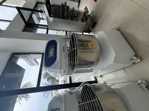 Dough Mixer 100kg 2 Bag