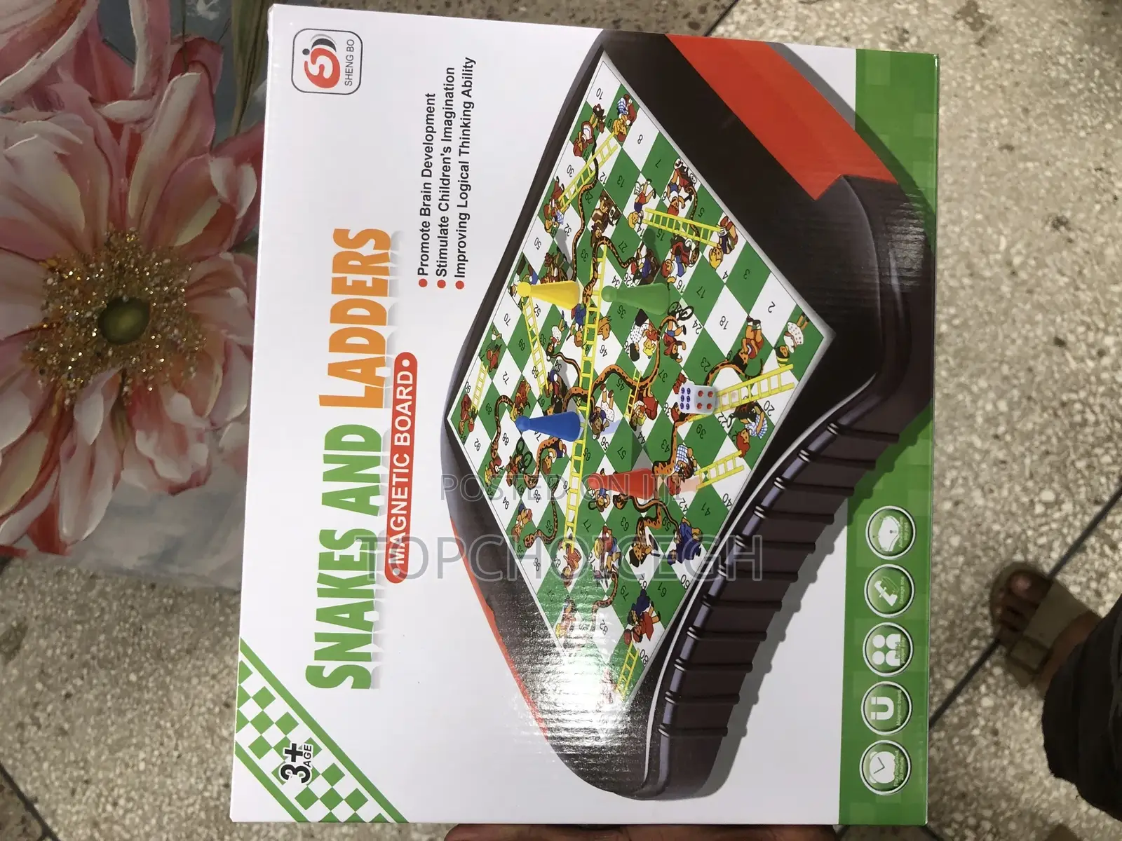 Snake and Ladders Magnetic Board