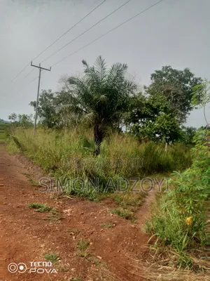 8000 Acres Available for Sale