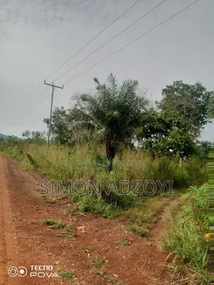 8000 Acres Available for Sale