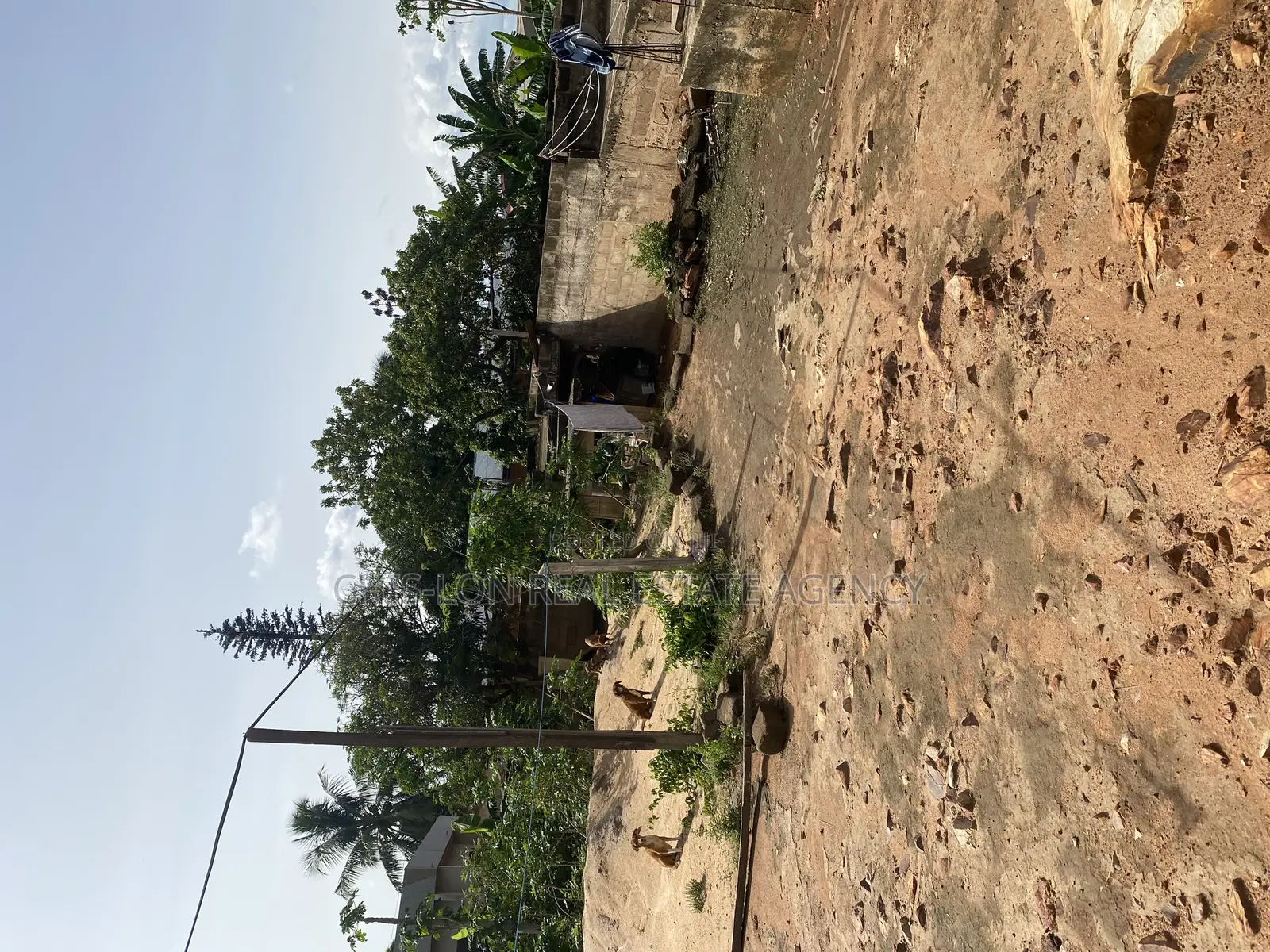 Registered Land for Sale