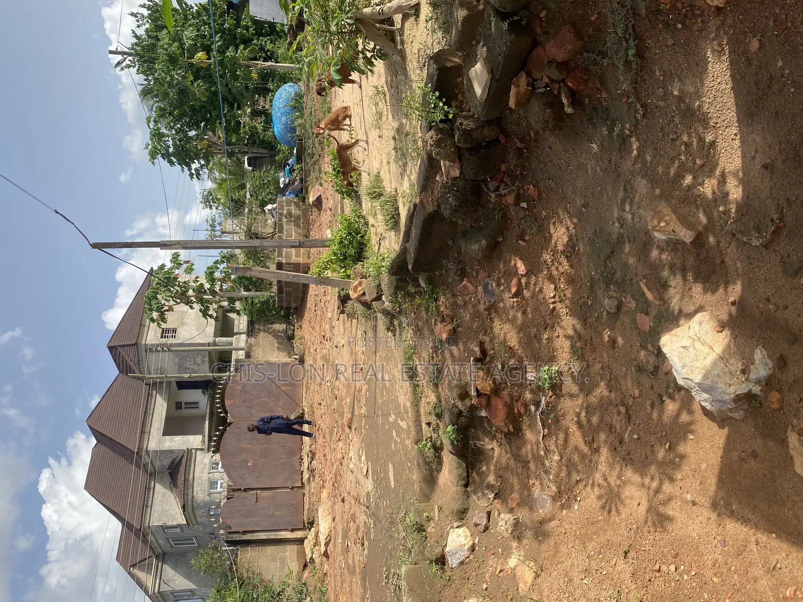 Registered Land for Sale