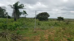 Volta Region (Juapong) _ 15 Plots of Building Land